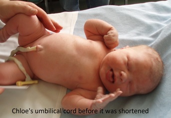how to bathe a newborn with umbilical cord